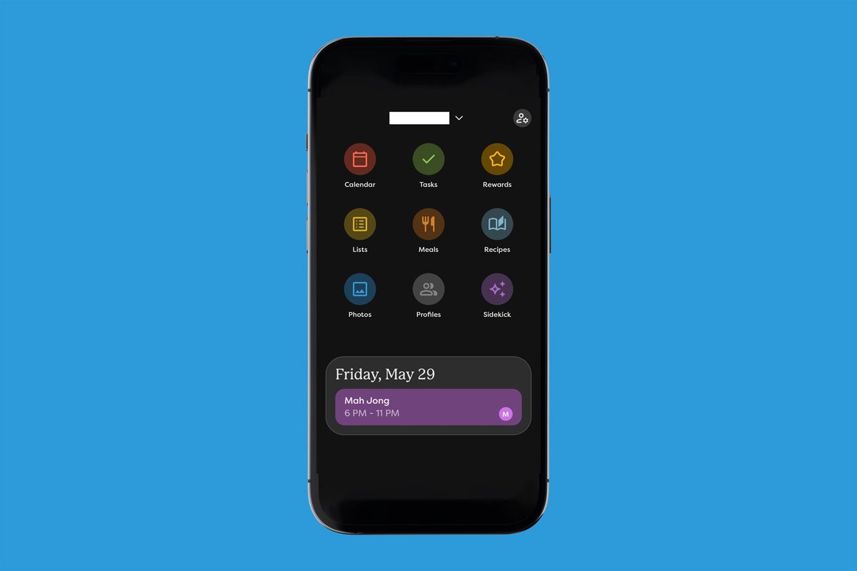 Skylight Calendar app