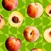 This Isn’t a Kitchen Tool, but It’s Weirdly Perfect for Pitting Peaches