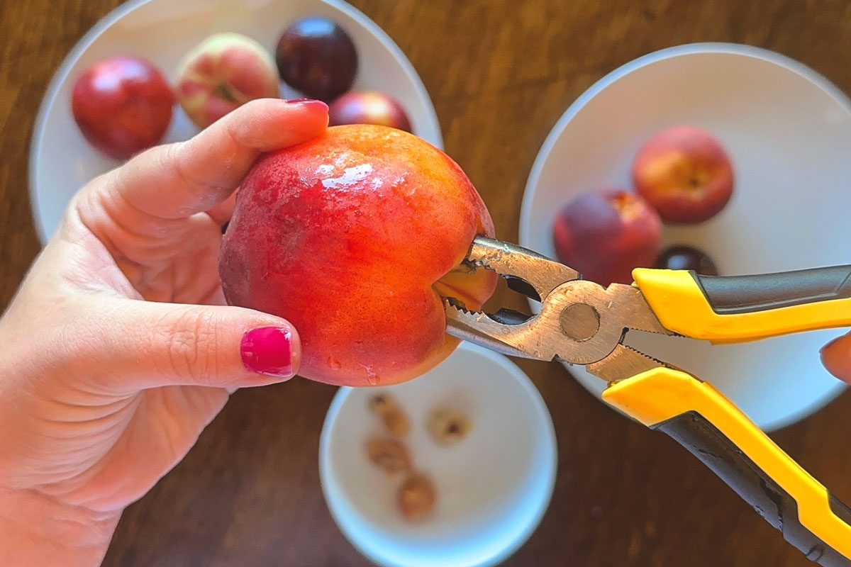 This Isn’t A Kitchen Tool Peach Trick 3 Lindsay Parrill For Taste Of Home