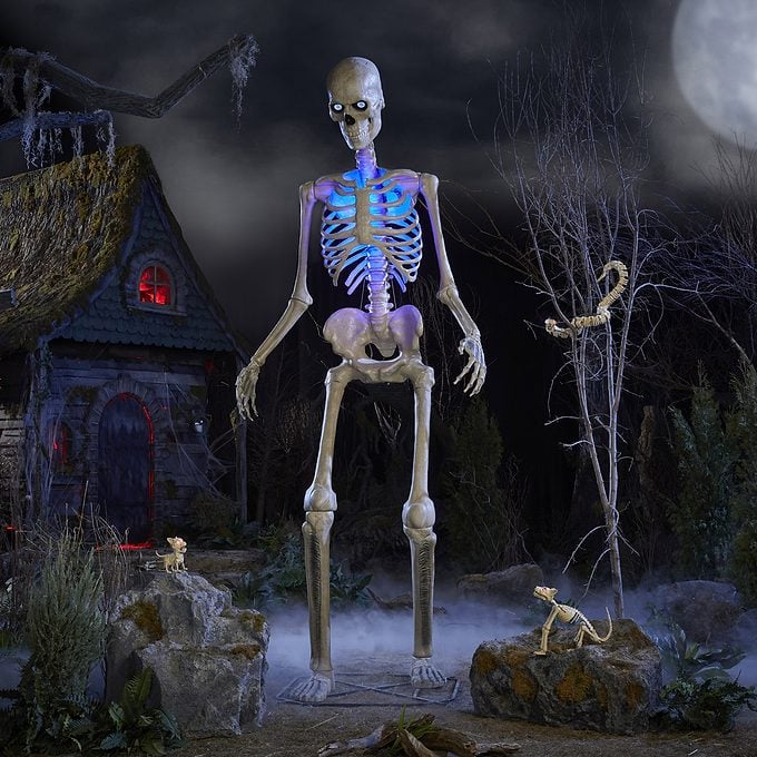 12 Foot Giant Sized Skelly