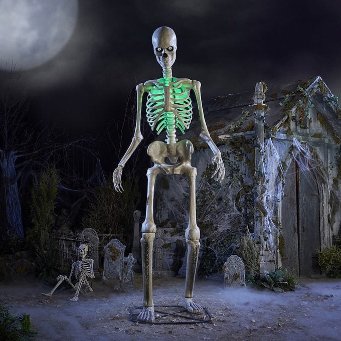 6.5 Foot Ultra Skelly