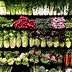 These Are the Foods to Take Extra Caution with During the Cyclosporiasis Outbreak