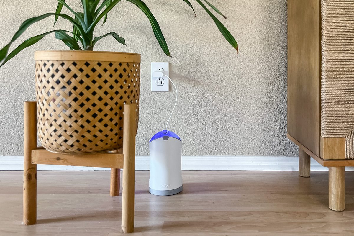 fruit fly trap plugged into a wall socket between furniture