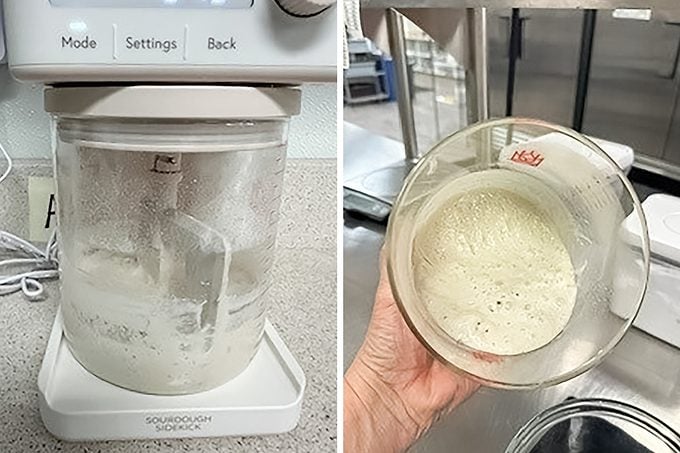 Sourdough Sidekick