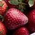 Does One Moldy Berry Mean You Have to Throw Away the Whole Pint?