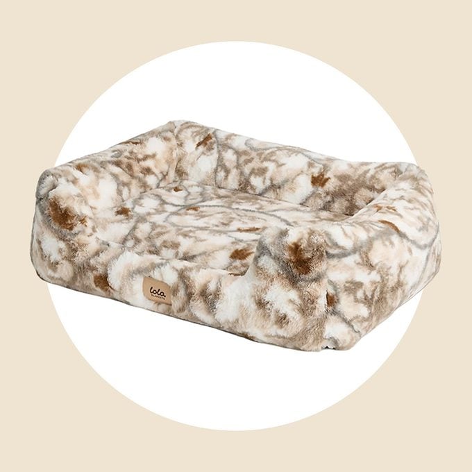 Lola Blankets Biggest Sale The Lola Pet Bed Via Lolablankets.com