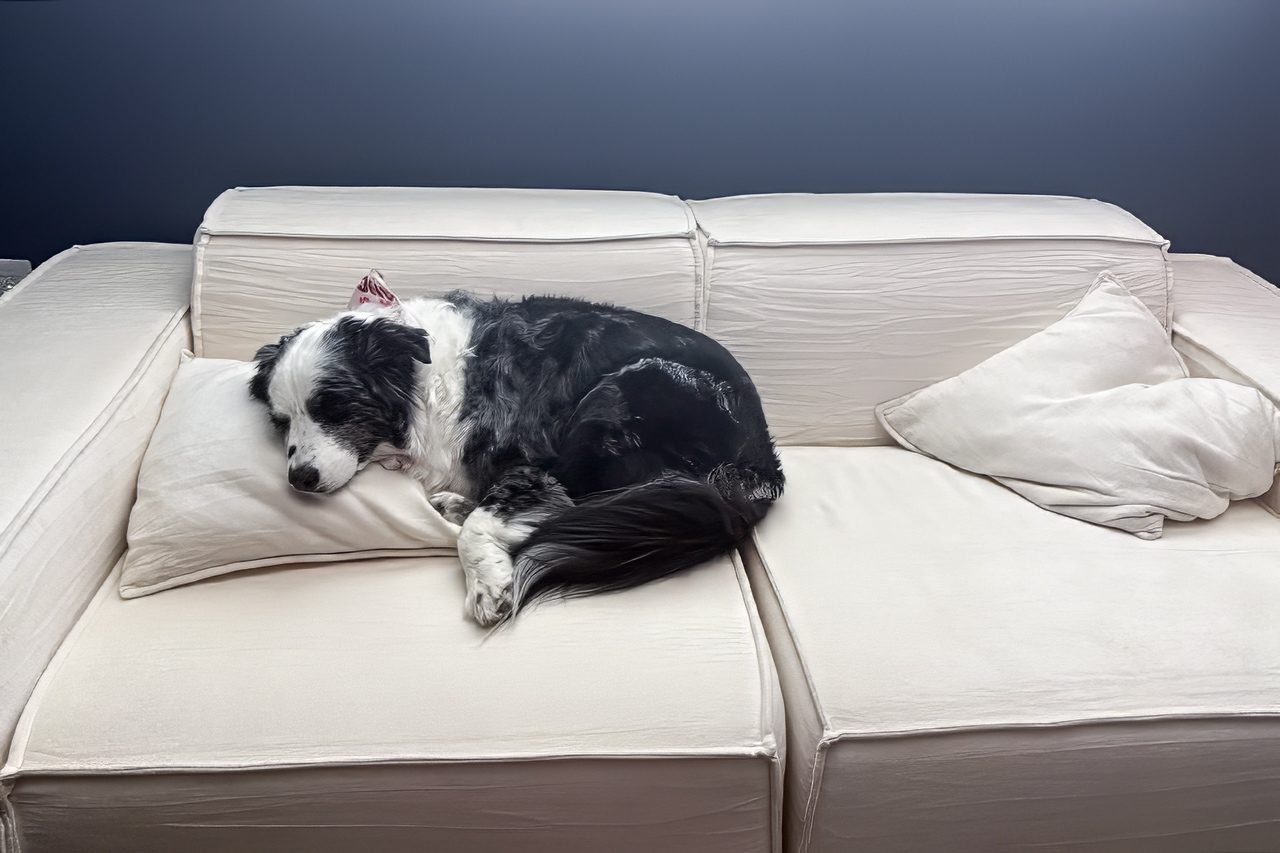 Rove Lab Boneless Couch