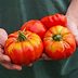 Is It Safe to Eat a Split Tomato?