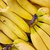 Should You Be Washing Your Bananas?