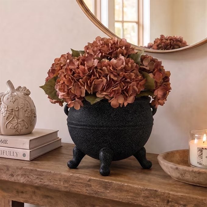 My Texas House Halloween Cauldron Decorative Planter